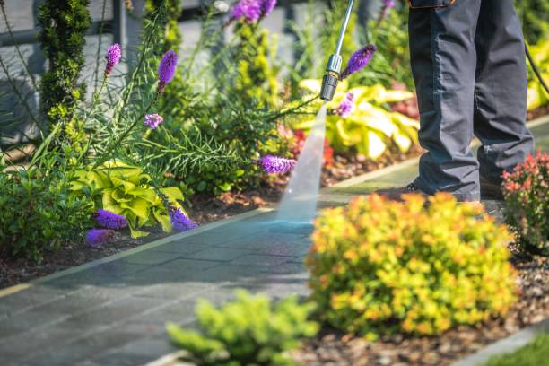 Best Dumpster Area Cleaning  in Four Square Mile, CO